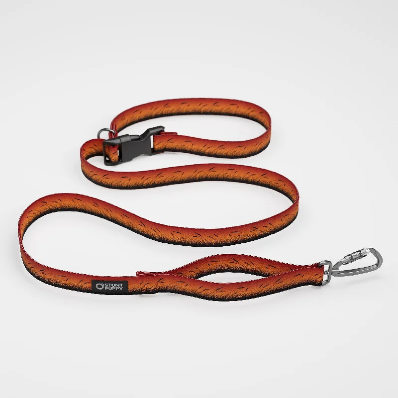  . **Dog raincoat is waterproof and windproof**Marsh Orange Everyday Leash™