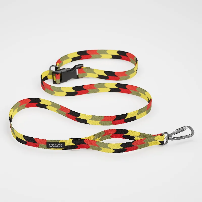  . **Cat nest winter warmth**Flag Pirate Everyday Leash™