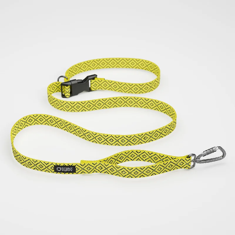  . **Pet collar with custom engraving**Pixie Yellow Navy Everyday Leash™