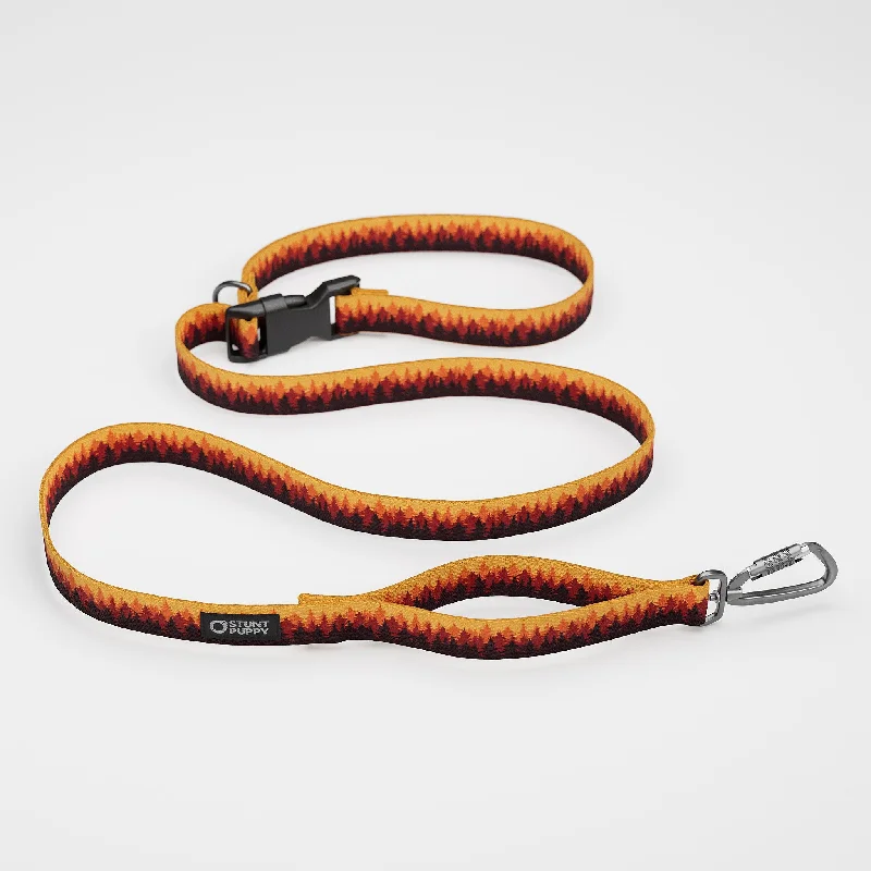  . **Cat nail clippers safety model**Pines Orange Everyday Leash™