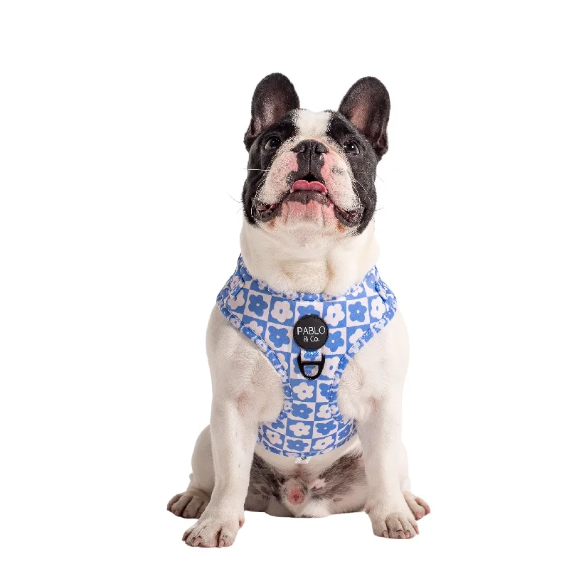 - Teething and chewing toys for puppiesBlue Checkered Daisies: Adjustable Harness