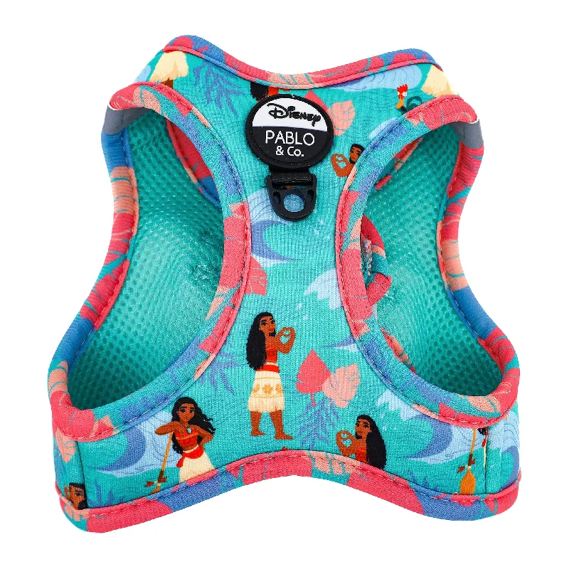 - Summer pet ice matMoana: Step In Cat Harness