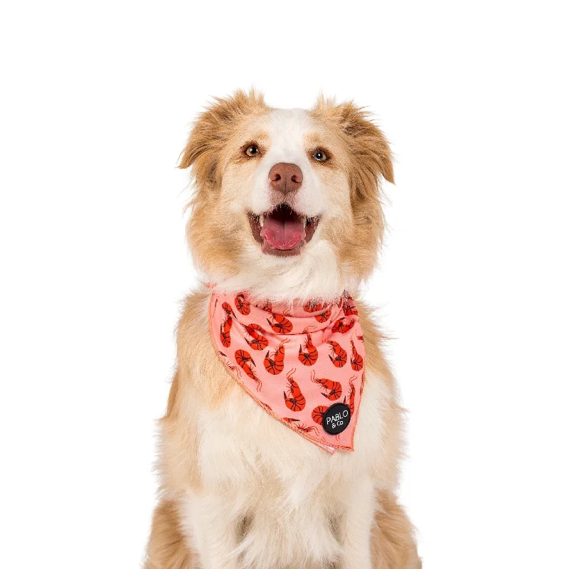 - Pet fence foldable indoorSummer Prawns - Dog Bandana