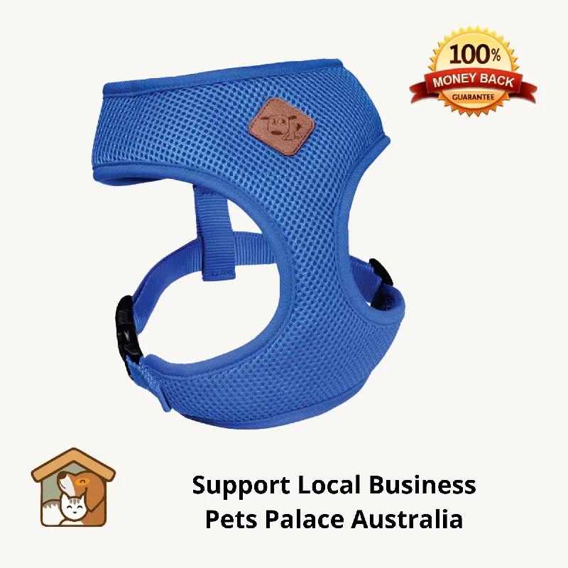 - Chinchilla cooling ice nest ceramic plateKazoo Blue Classic Dog Harness