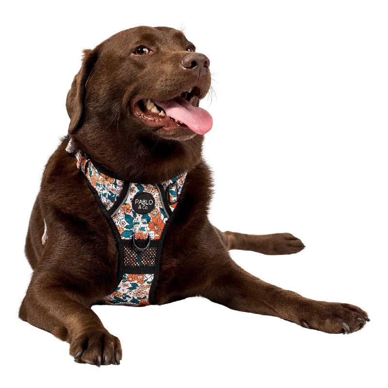 - Summer pet ice matWildflowers: No Pull Adventure Harness