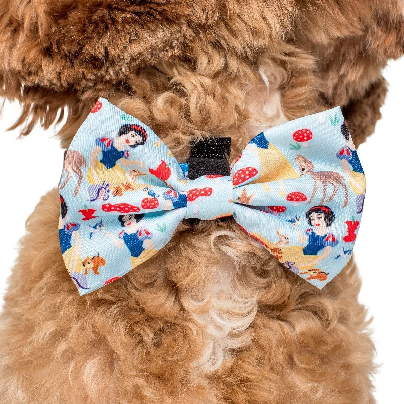 - Pet diabetes prescription foodSnow White: Bow Tie