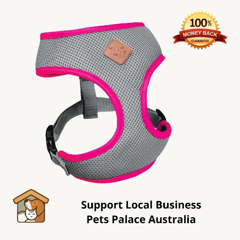 - Parrot climbing and standing wooden frameKazoo Silver-Pink Active Dog Harness