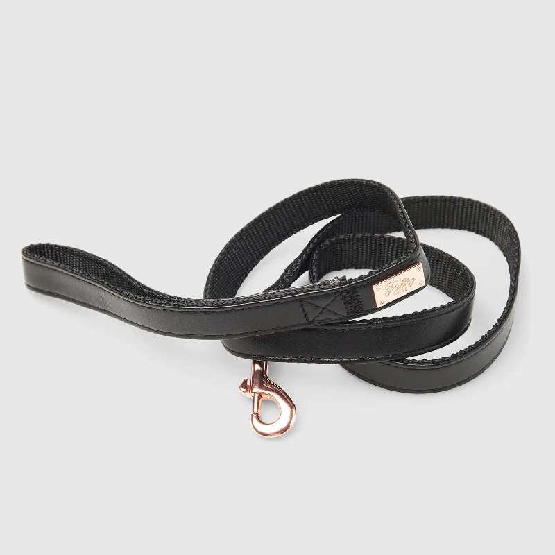 - Foldable and portable cat bagAlaskan Night Lead