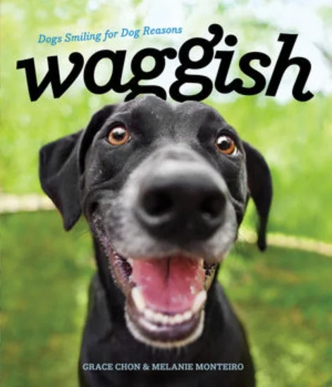 - Summer pet ice matWaggish Book