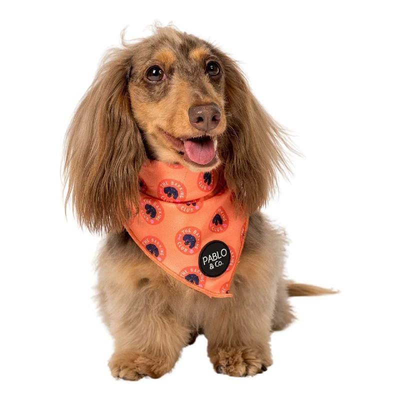 - Dog anti-slip matBark Club - Dog Bandana