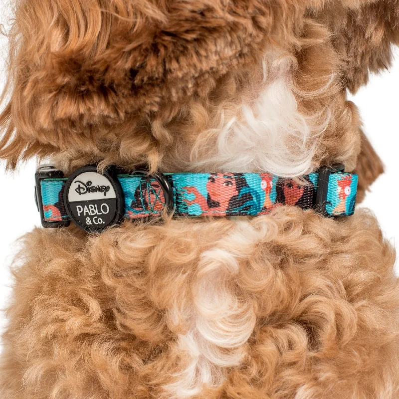 - Natural latex pet mattressMoana: Dog Collar