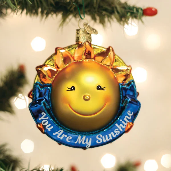 - Pregnant cat delivery room warming boxYou Are My Sunshine Ornament