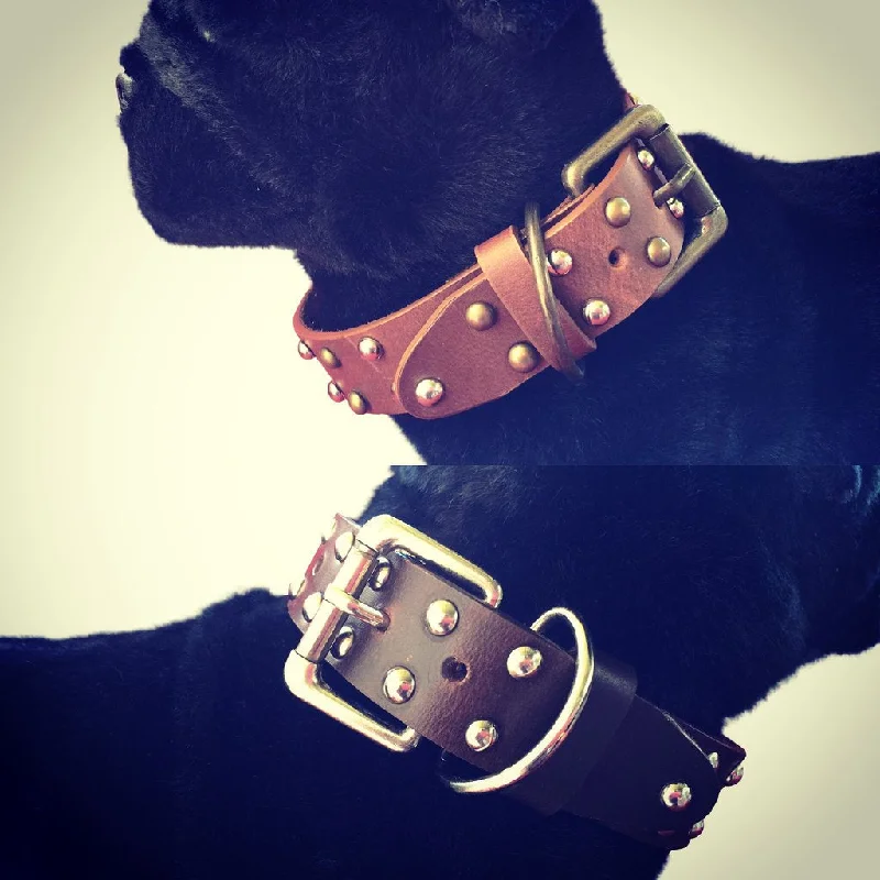 Pet ProductsStudded Design Dog Collar