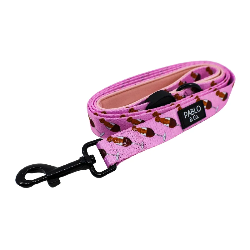  -Splash-proof food bowl AND Anti-choking slow food bowlDachshunds & Wine: Dog Leash