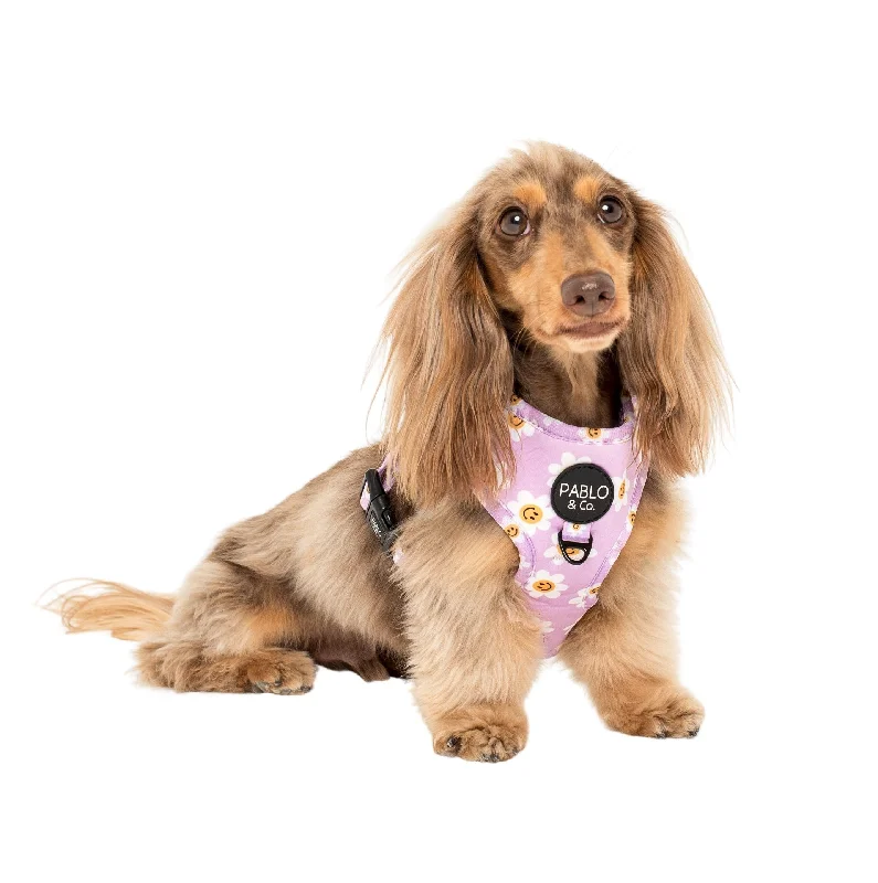 - Air box TSA certified check-inLilac Smiley Flowers: Adjustable Harness