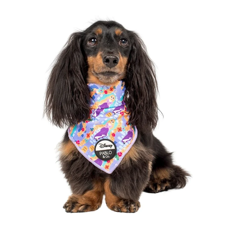 - Automatic temperature adjustment cat bedRapunzel: Dog Bandana