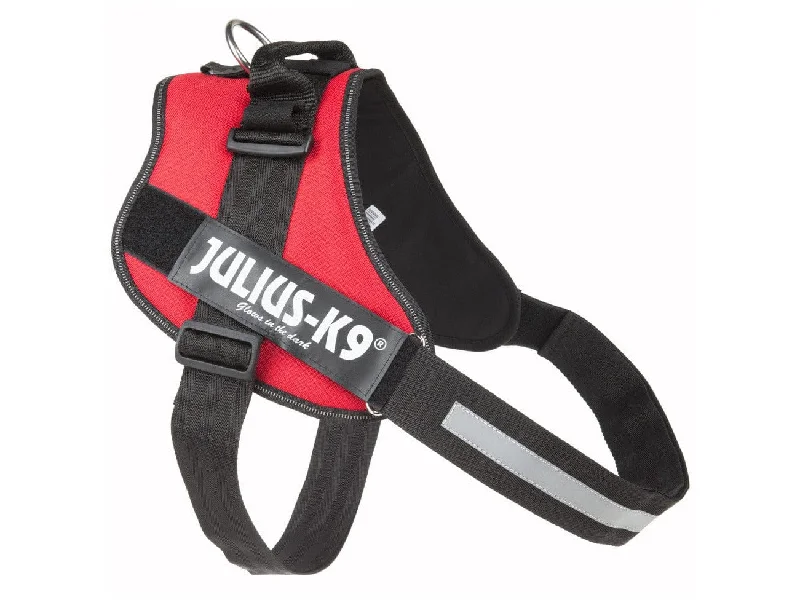 - Elderly dog ​​joint care mattressIDC Powerharness - Red / Size 4