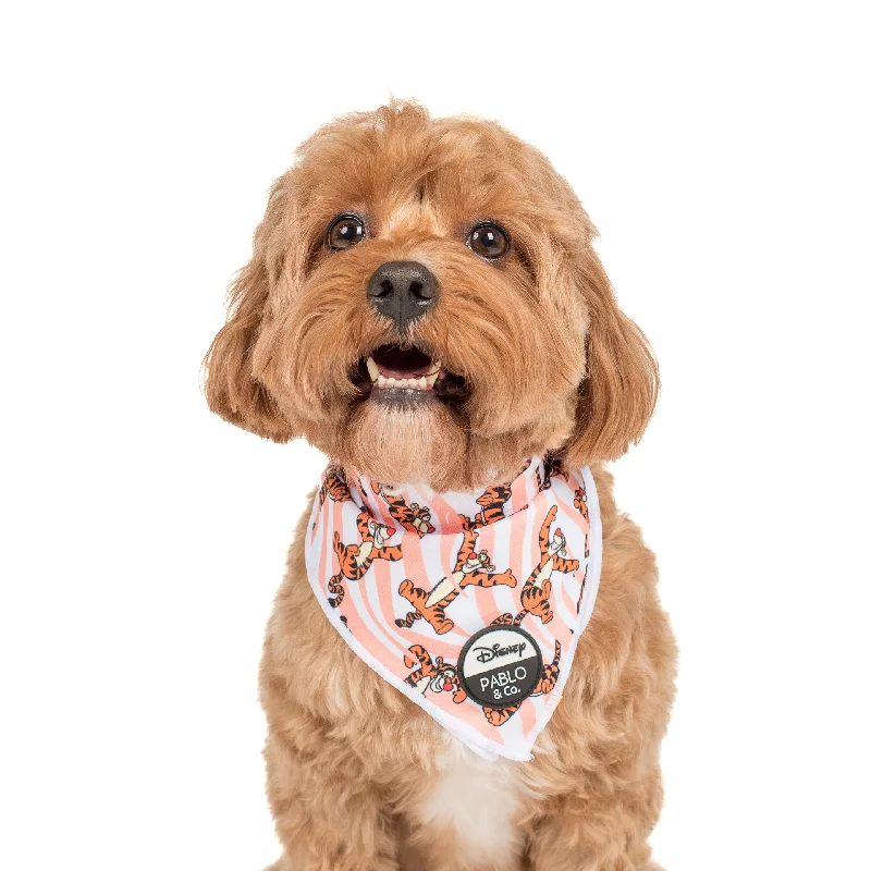 - Foldable and portable cat bagThe One of a Kind Tigger: Dog Bandana