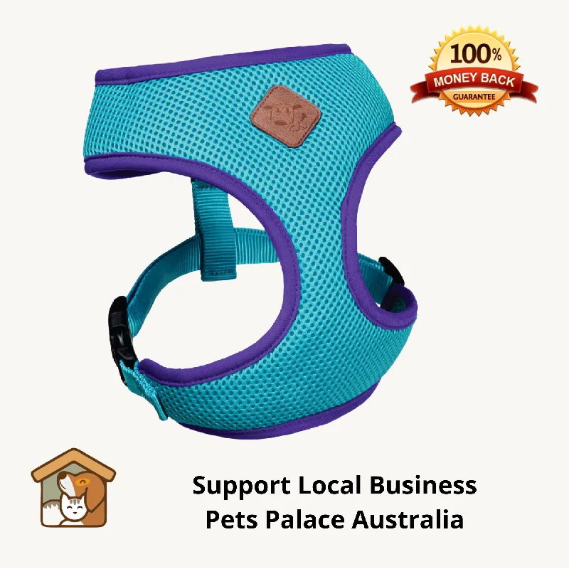 - Climbing pet constant temperature heating padKazoo Aqua-Purple Active Dog Harness