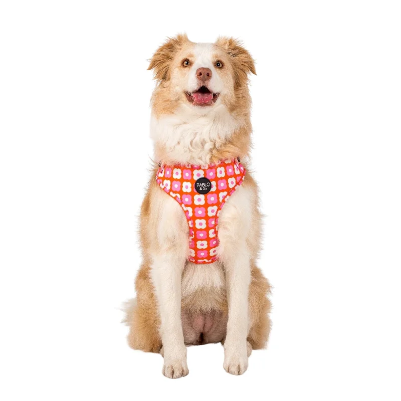 - Natural latex pet mattressPink Checkered Daisies: Adjustable Harness