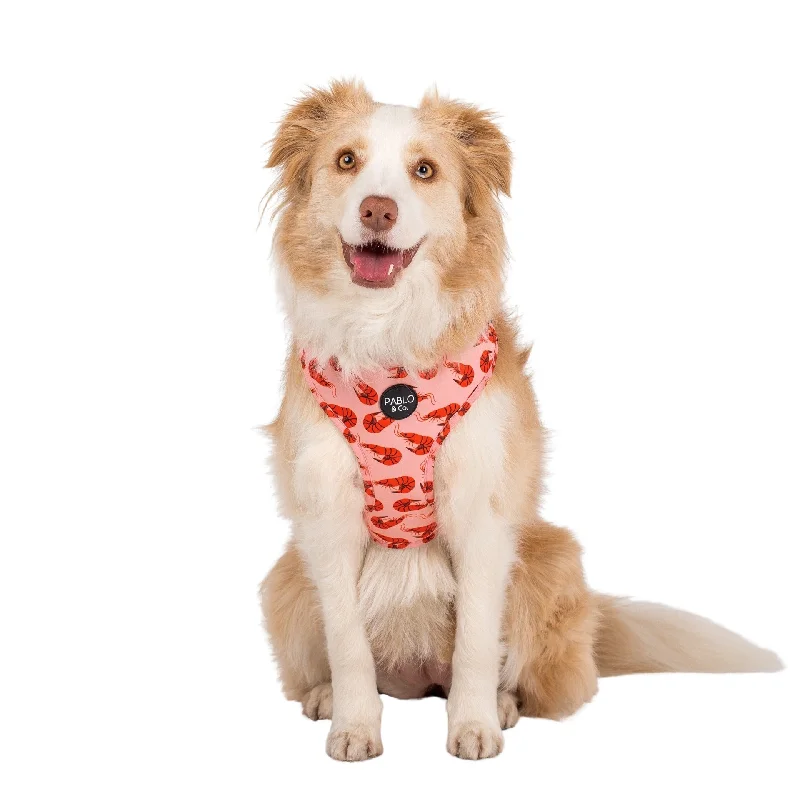 - Summer pet ice matSummer Prawns: Adjustable Harness