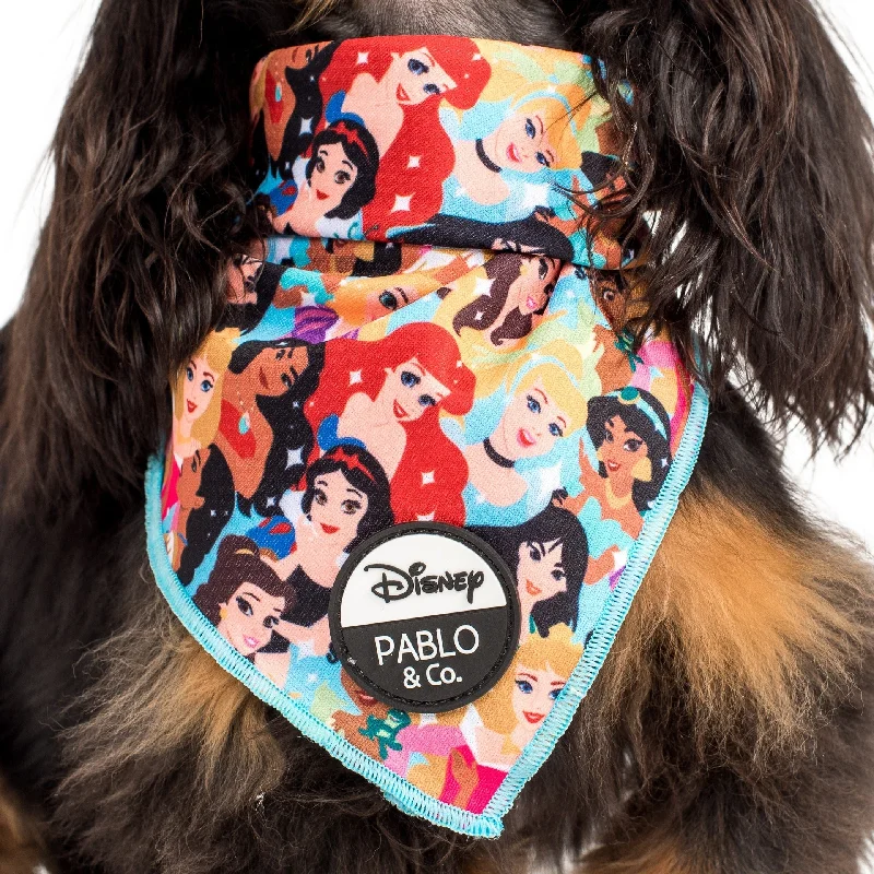 - Air box TSA certified check-inDisney Princesses: Dog Bandana