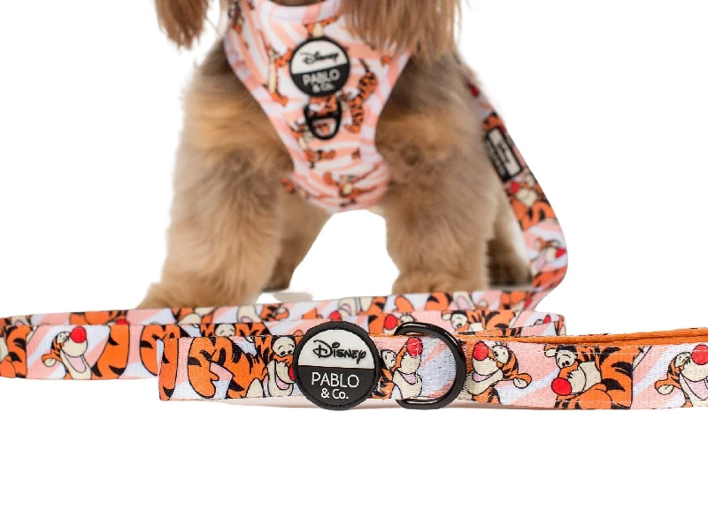 - Degradable pet feces bagThe One of a Kind Tigger: Dog Leash