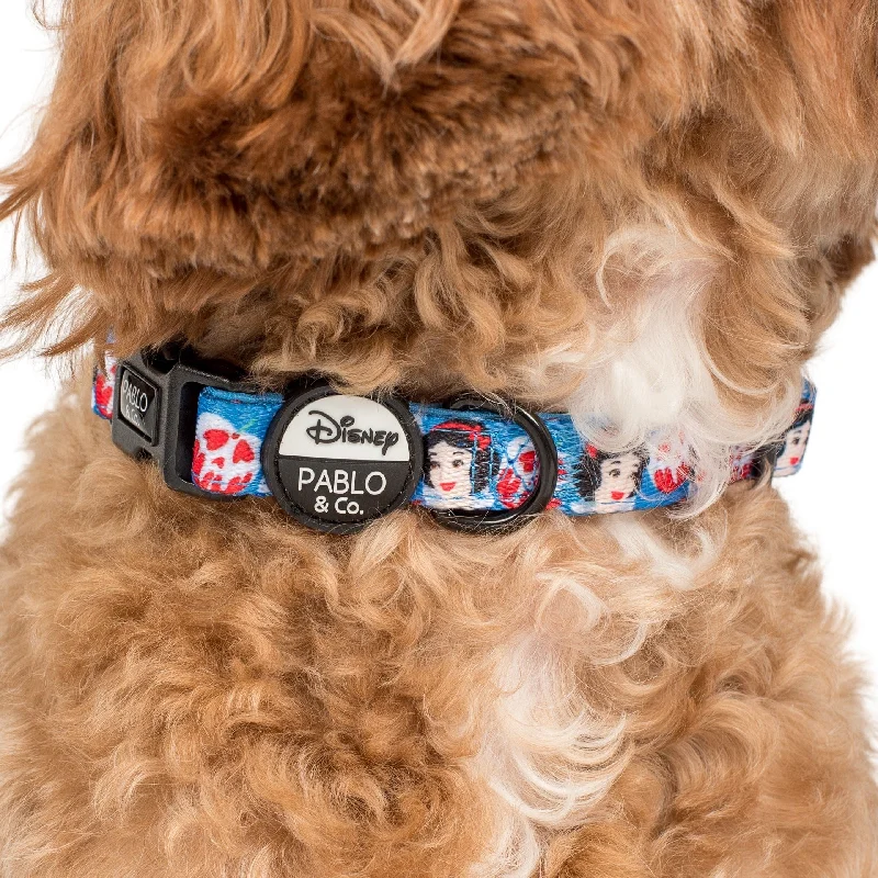 - Custom pet birthday cakeSnow White: Dog Collar