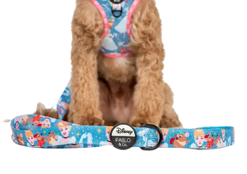 - Car dog seat beltCinderella: Dog Leash