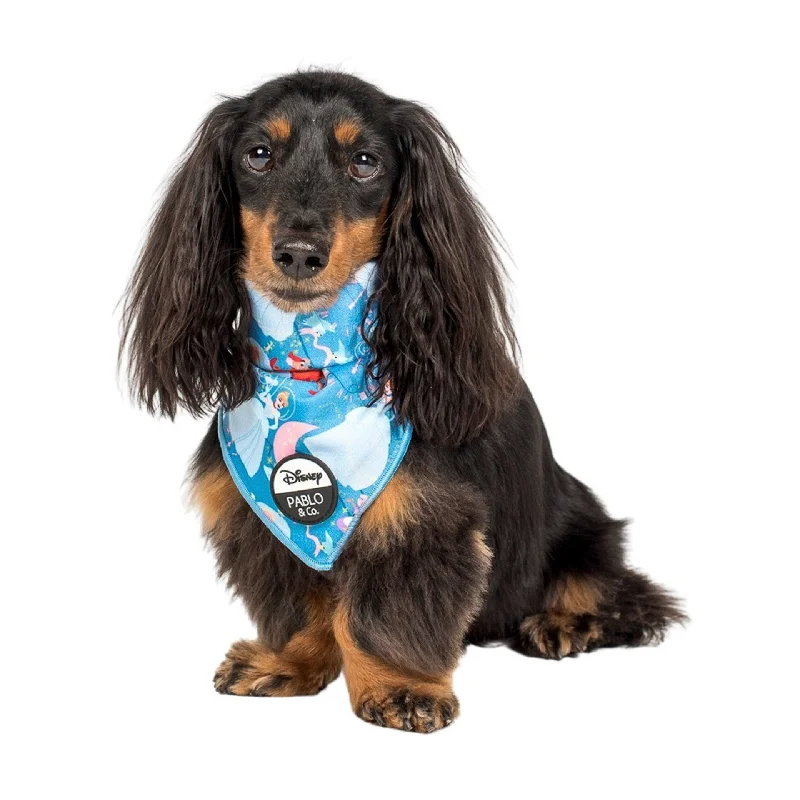 - Remote interactive pet feederCinderella: Dog Bandana