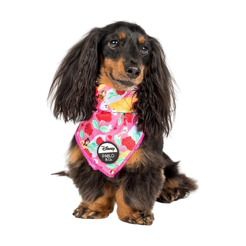 - Pet fence foldable indoorBeauty and the Beast: Dog Bandana