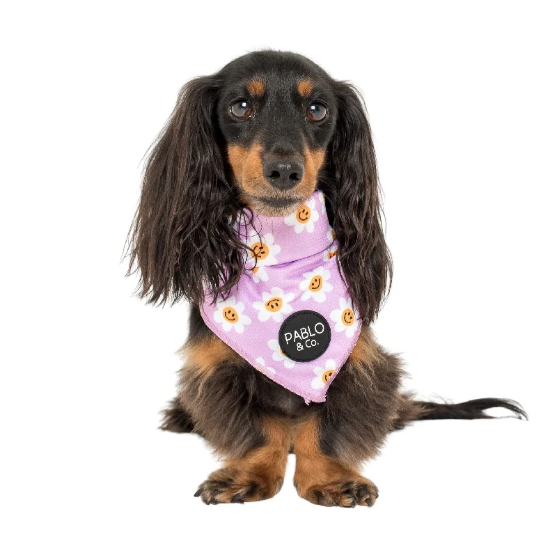 - Pet vitamin complex nutrition tabletsLilac Smiley Flowers - Dog Bandana