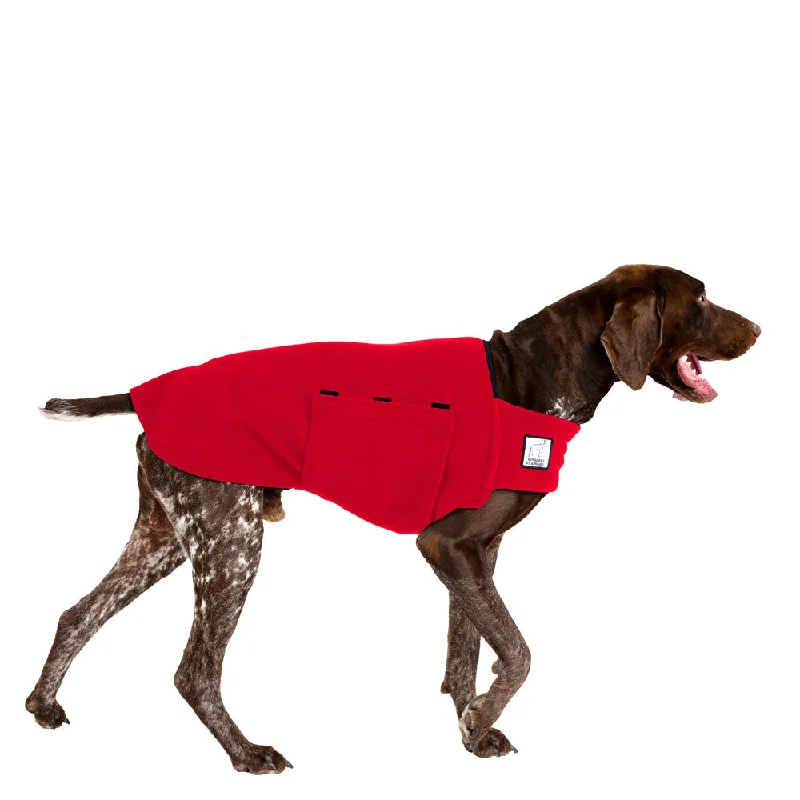 Combined with specific occasions:German Shorthaired Pointer Tummy Warmer